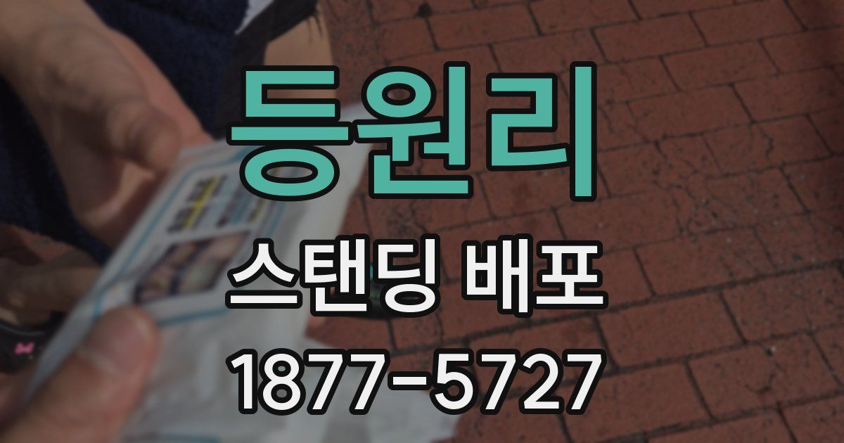등원리 스탠딩 배포