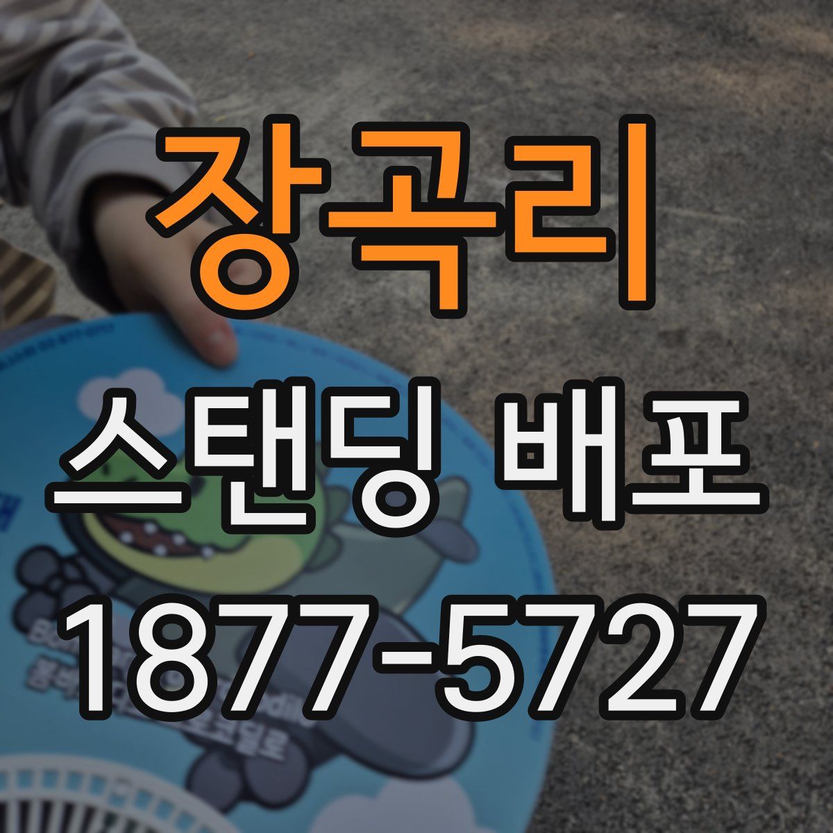 장곡리 스탠딩 배포