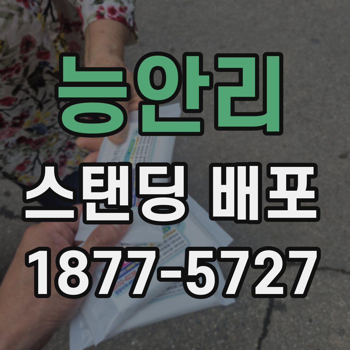 능안리 스탠딩 배포