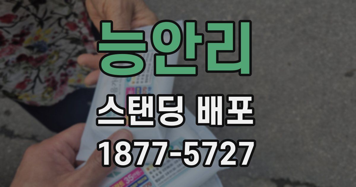 능안리 스탠딩 배포