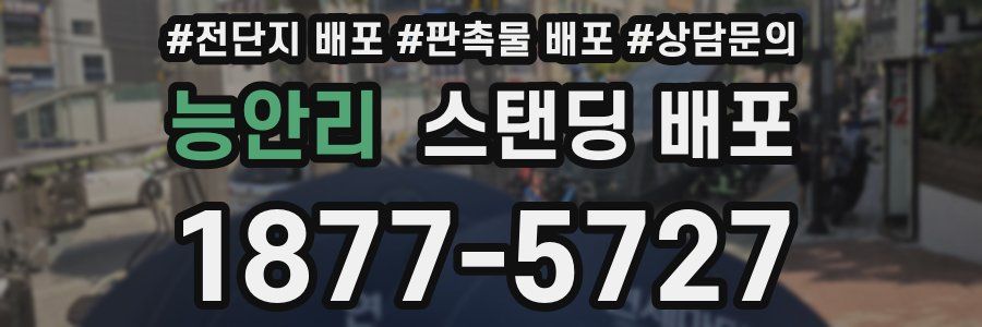 능안리 스탠딩 배포
