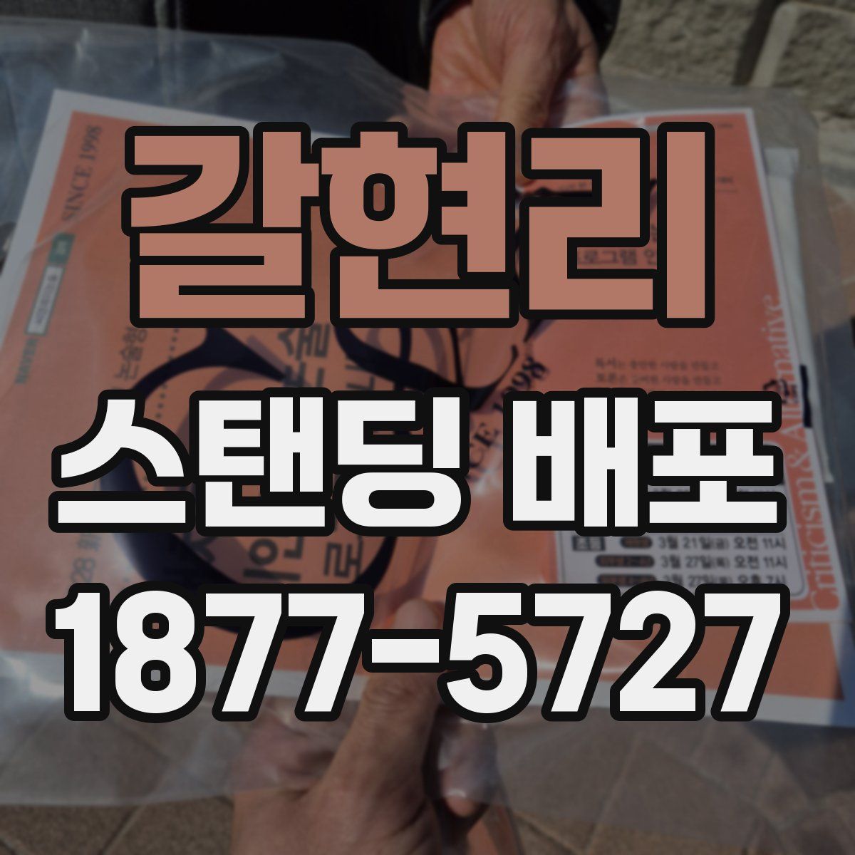 갈현리 스탠딩 배포