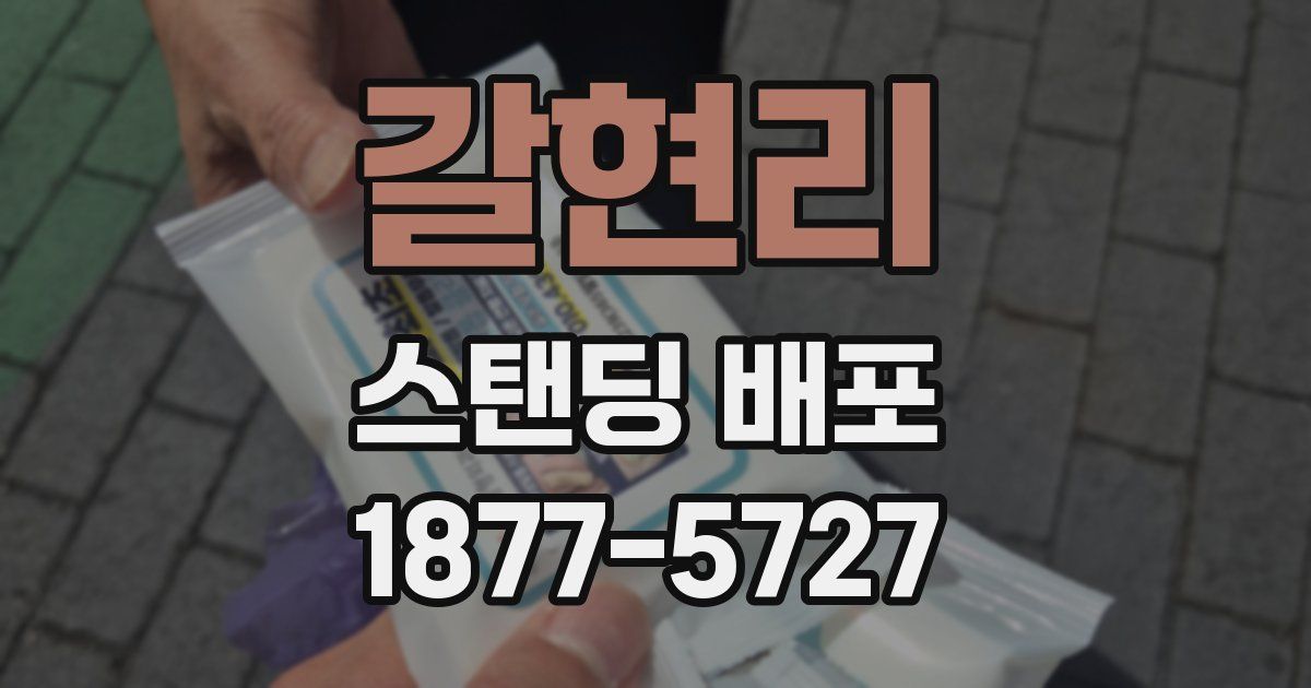 갈현리 스탠딩 배포