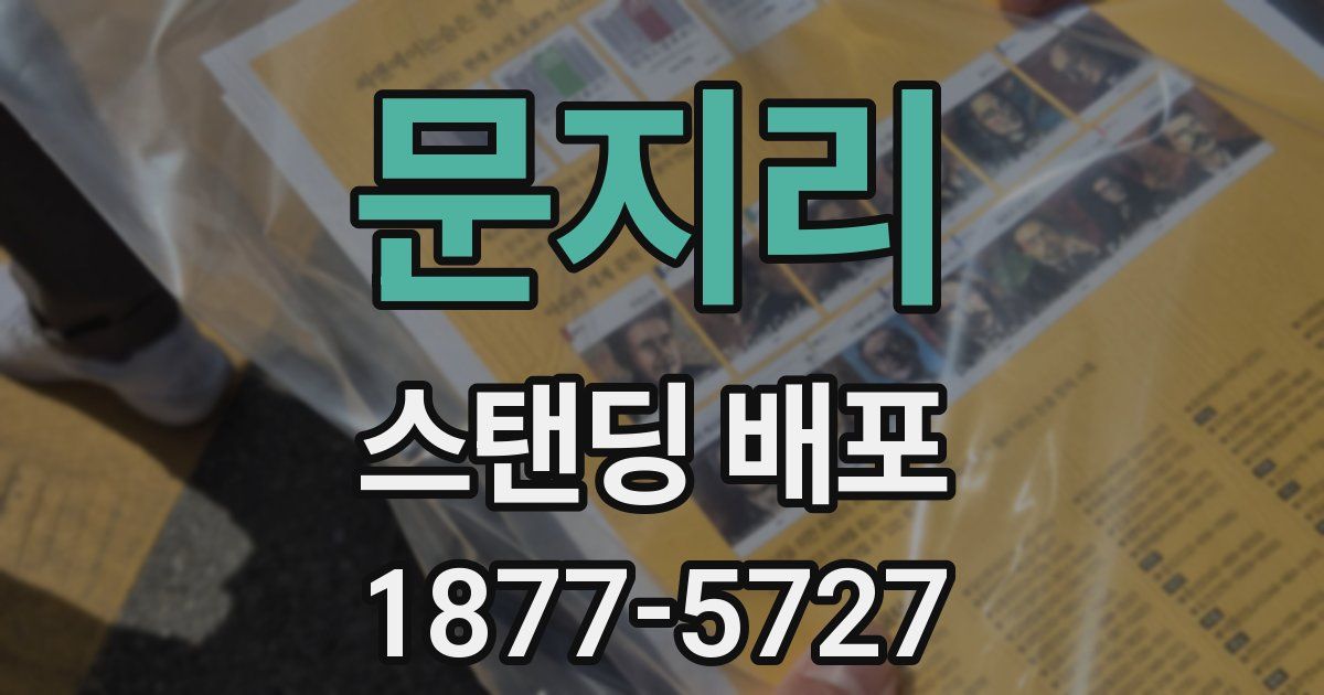 문지리 스탠딩 배포