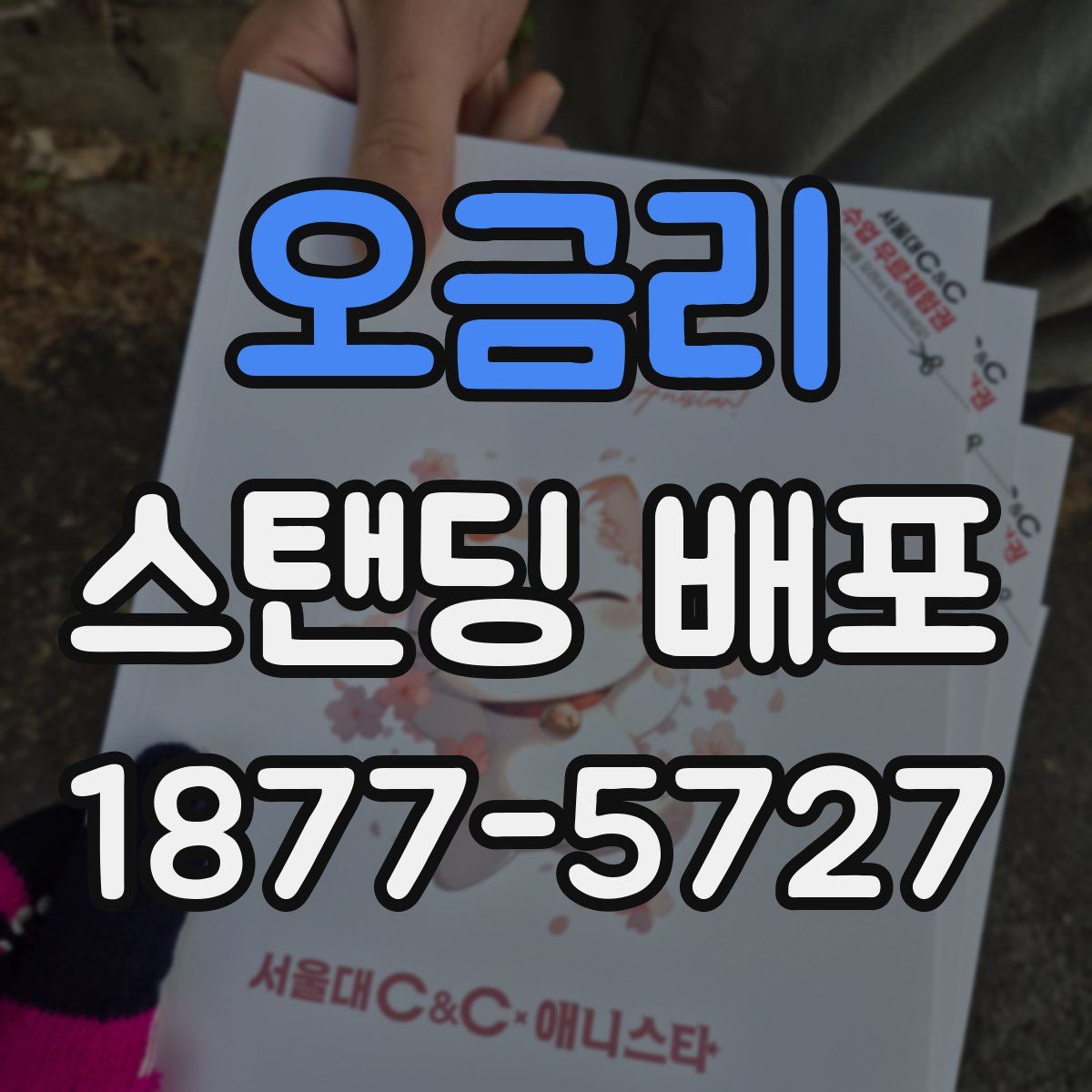 오금리 스탠딩 배포