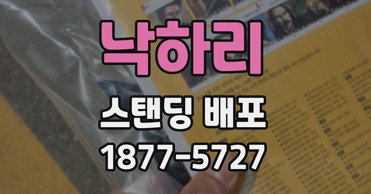 낙하리 스탠딩 배포