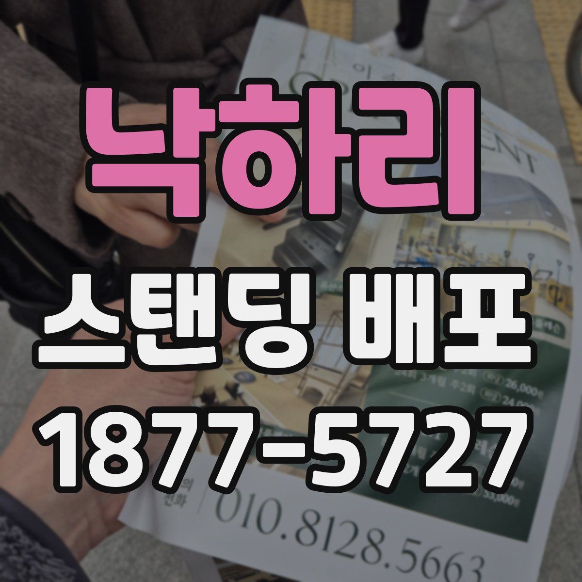 낙하리 스탠딩 배포