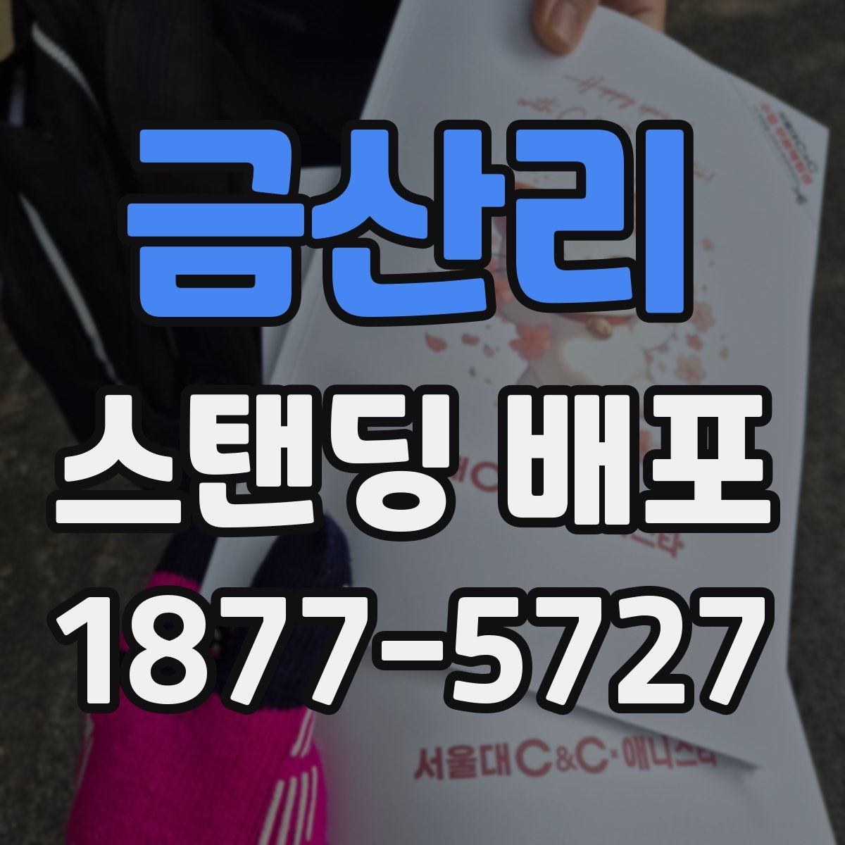 금산리 스탠딩 배포