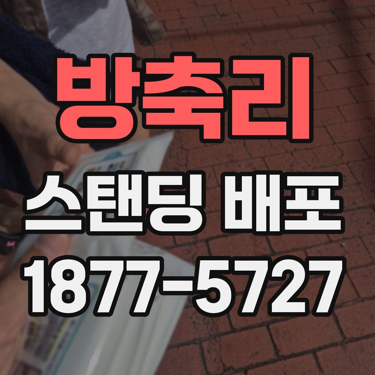 방축리 스탠딩 배포