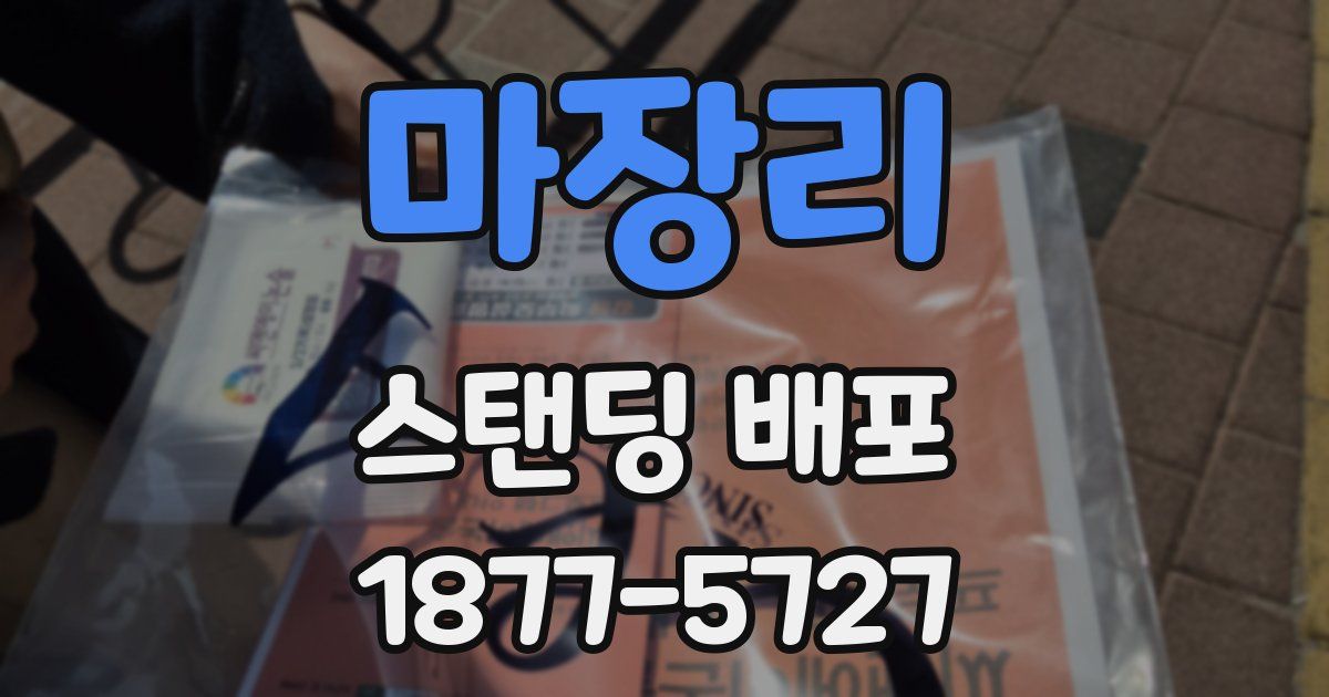 마장리 스탠딩 배포