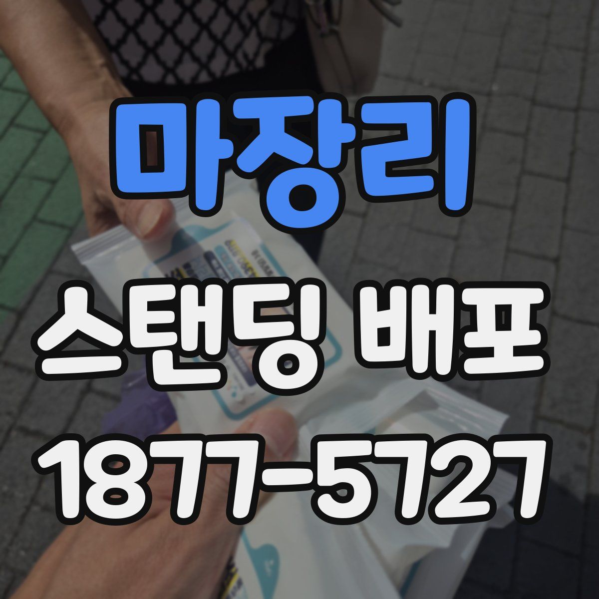 마장리 스탠딩 배포
