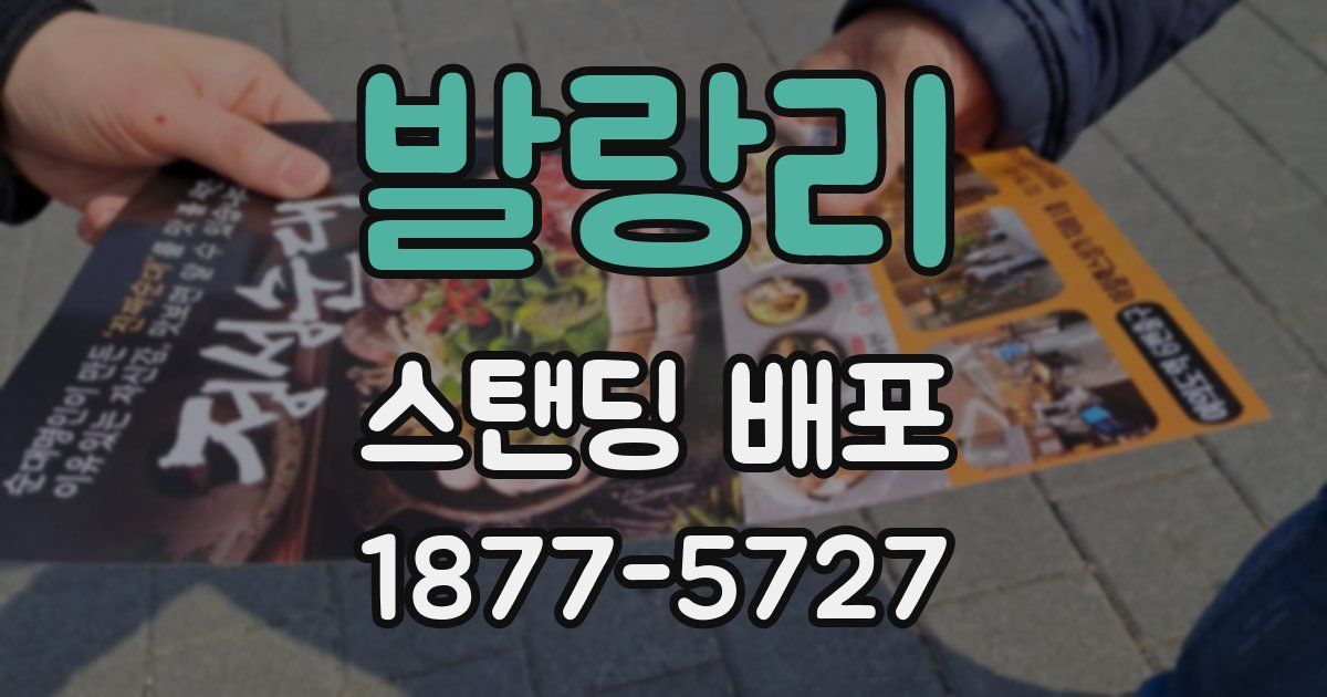 발랑리 스탠딩 배포