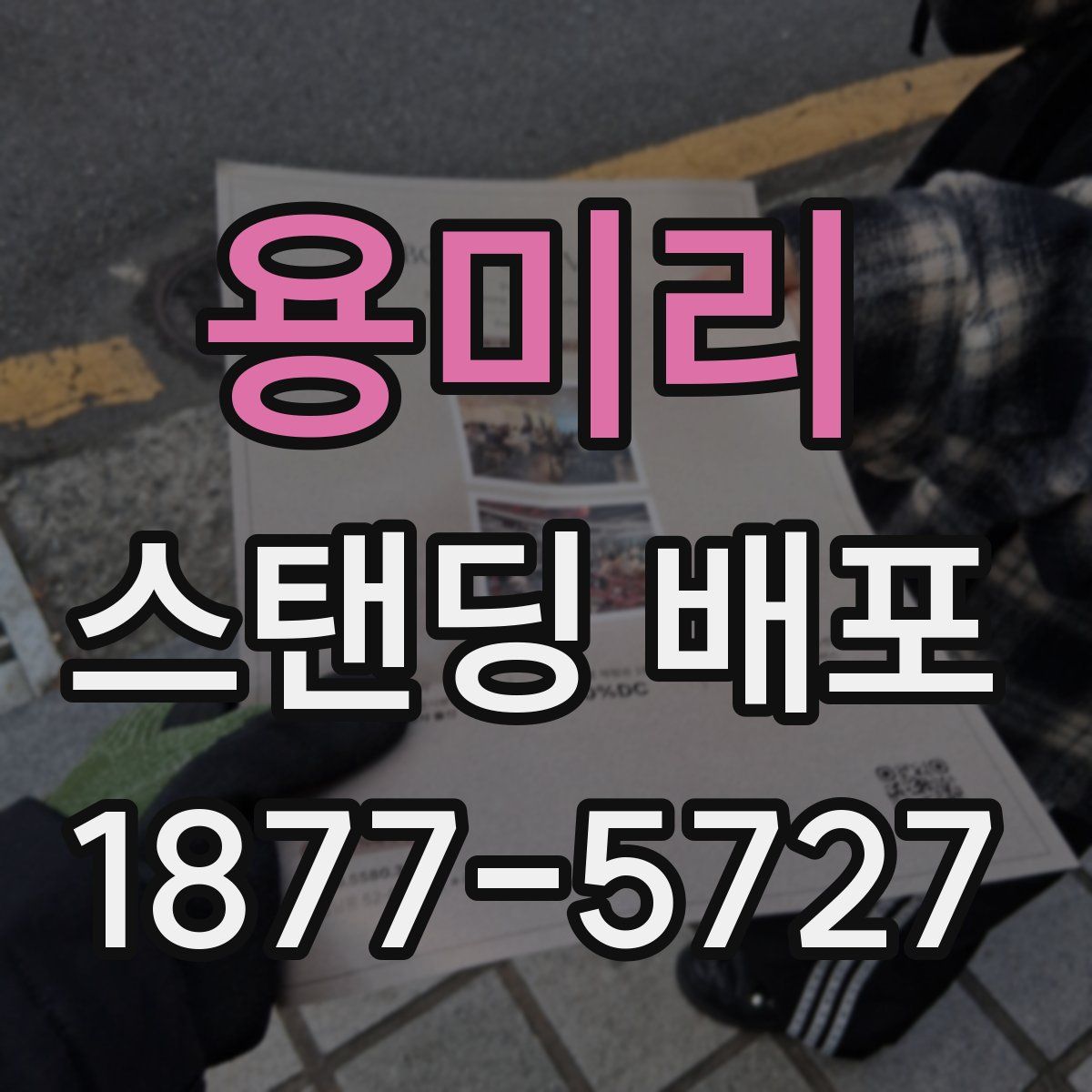 용미리 스탠딩 배포