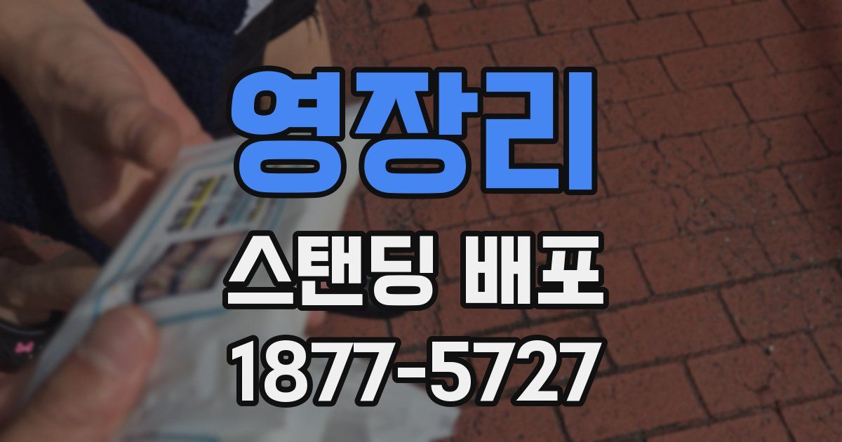 영장리 스탠딩 배포