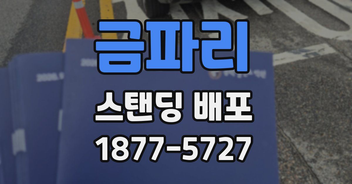 금파리 스탠딩 배포