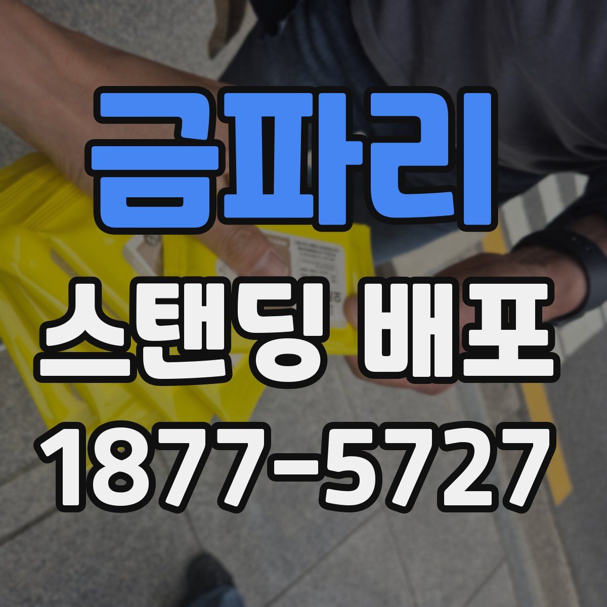 금파리 스탠딩 배포