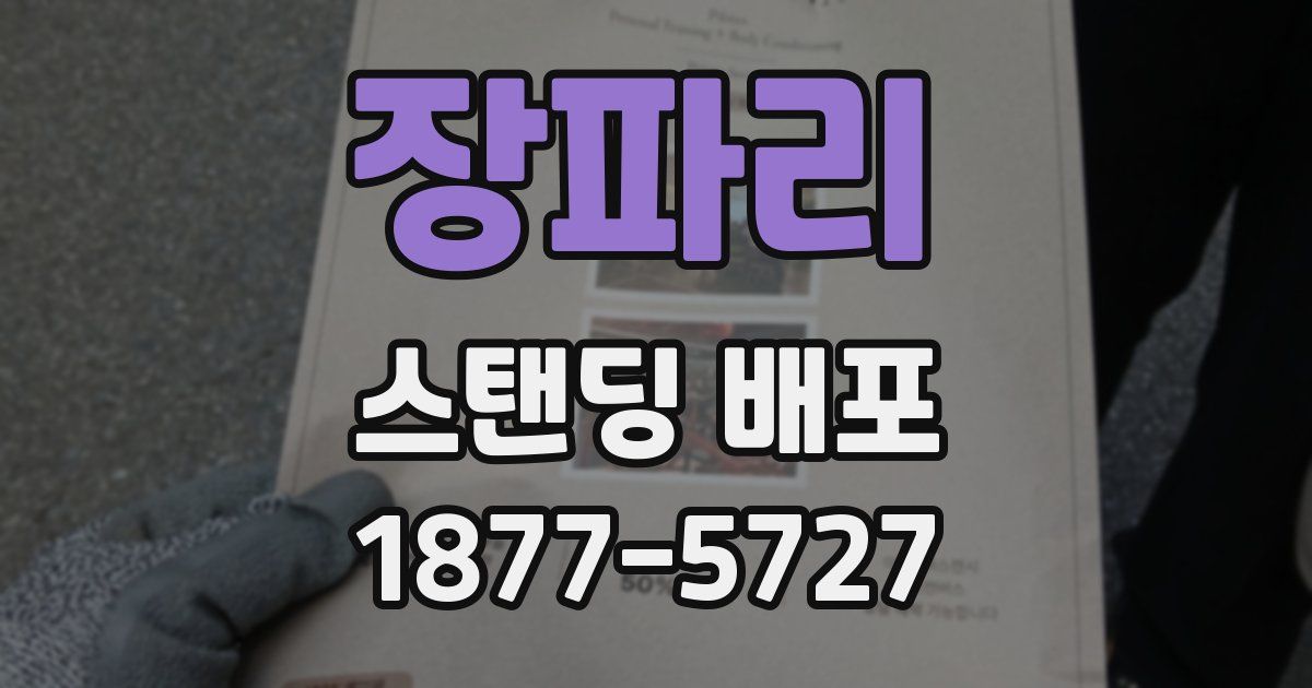 장파리 스탠딩 배포