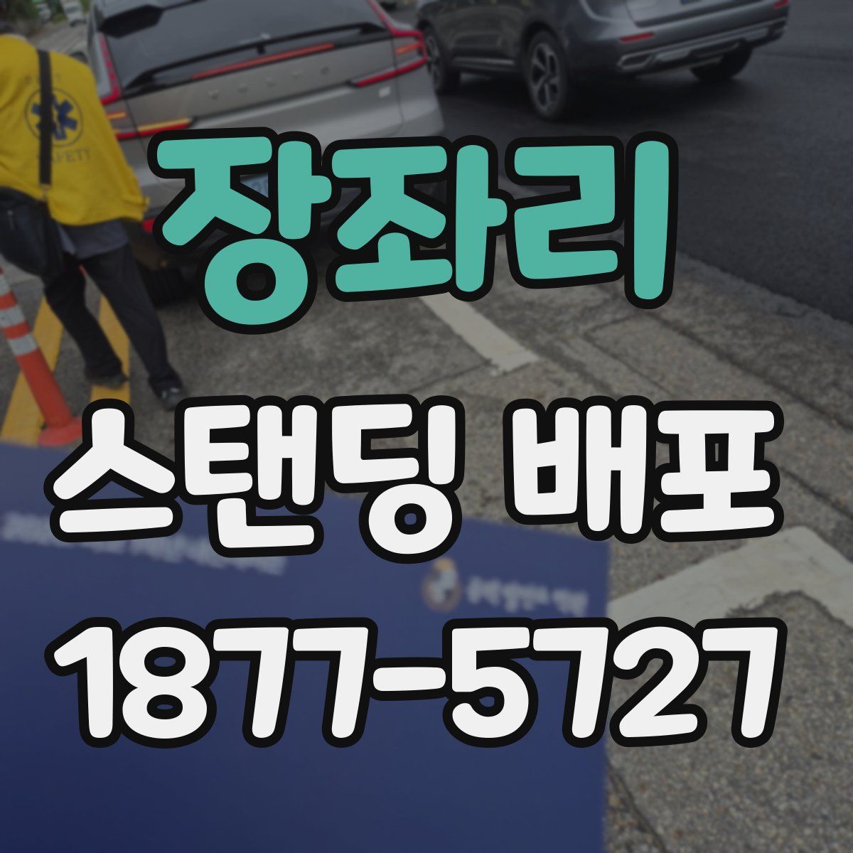 장좌리 스탠딩 배포