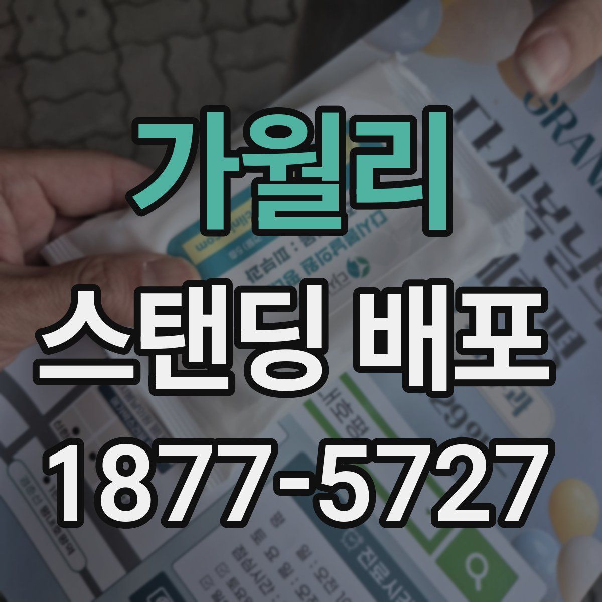 가월리 스탠딩 배포