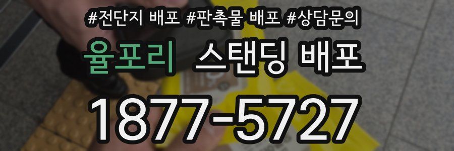 율포리 스탠딩 배포