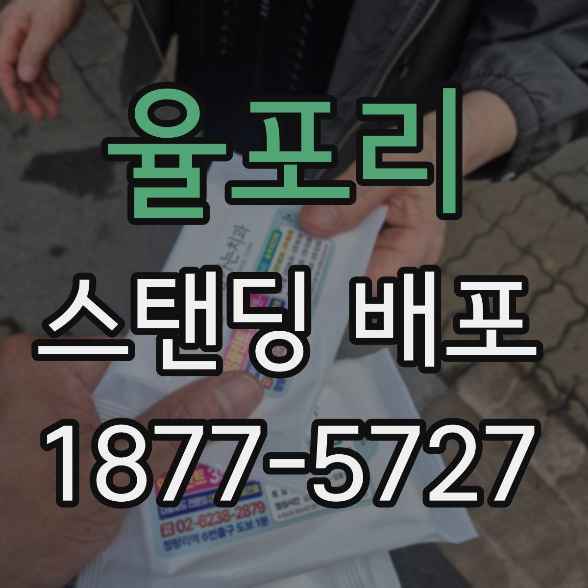 율포리 스탠딩 배포