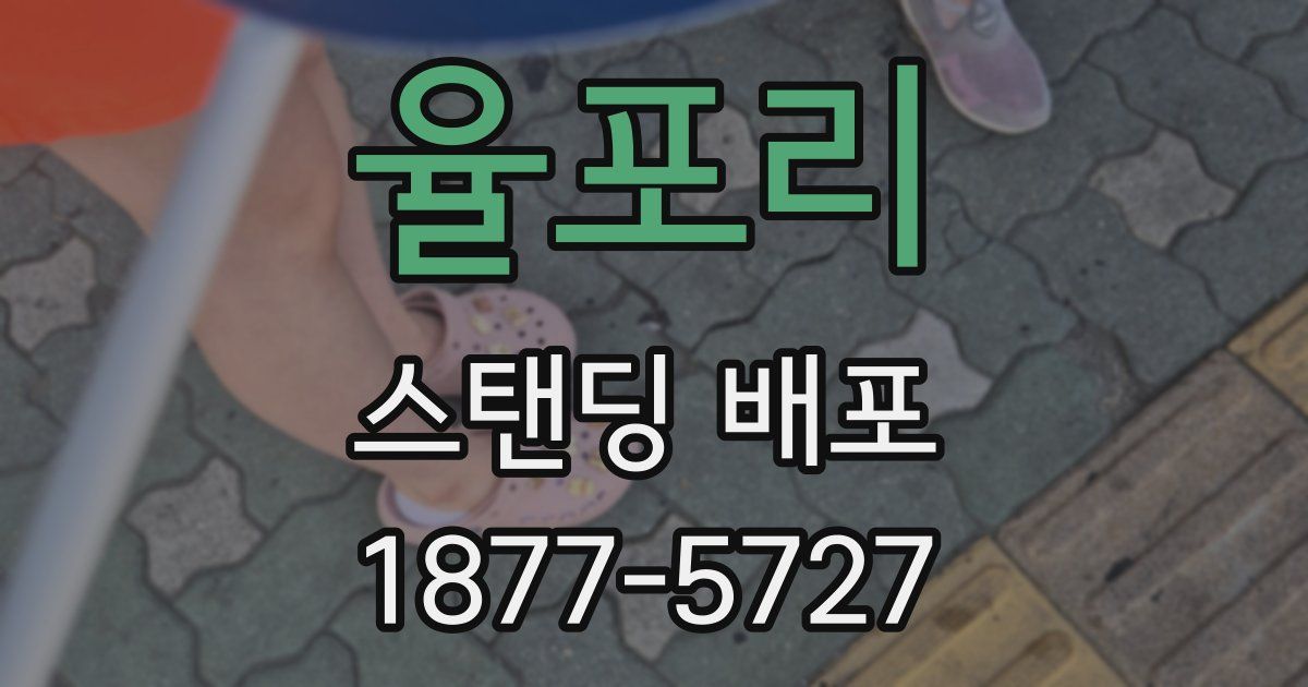 율포리 스탠딩 배포