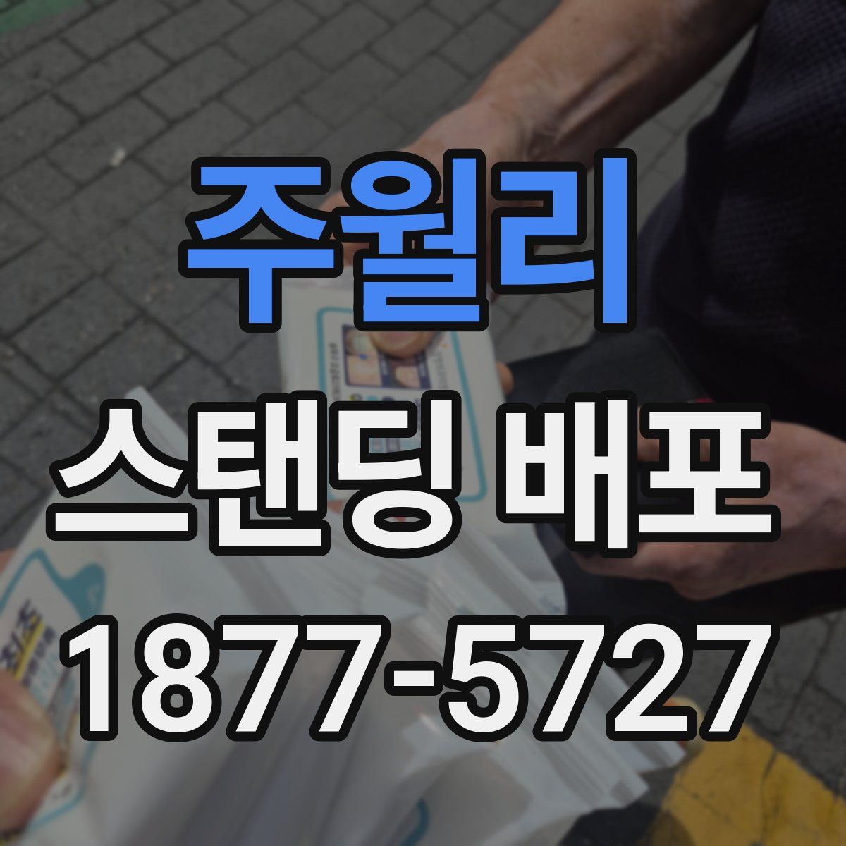 주월리 스탠딩 배포