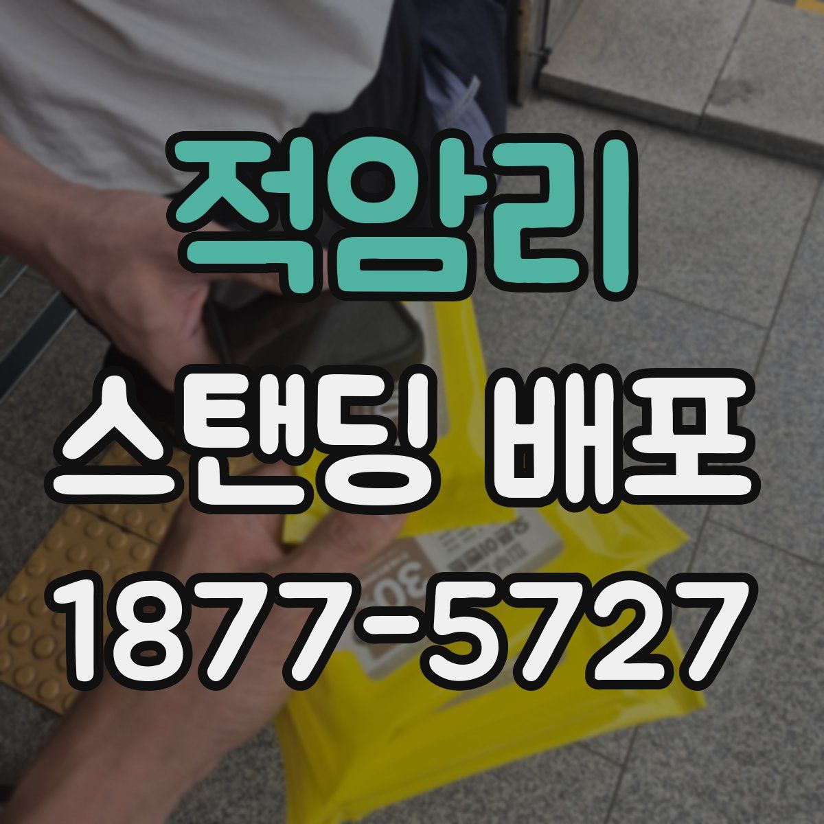 적암리 스탠딩 배포