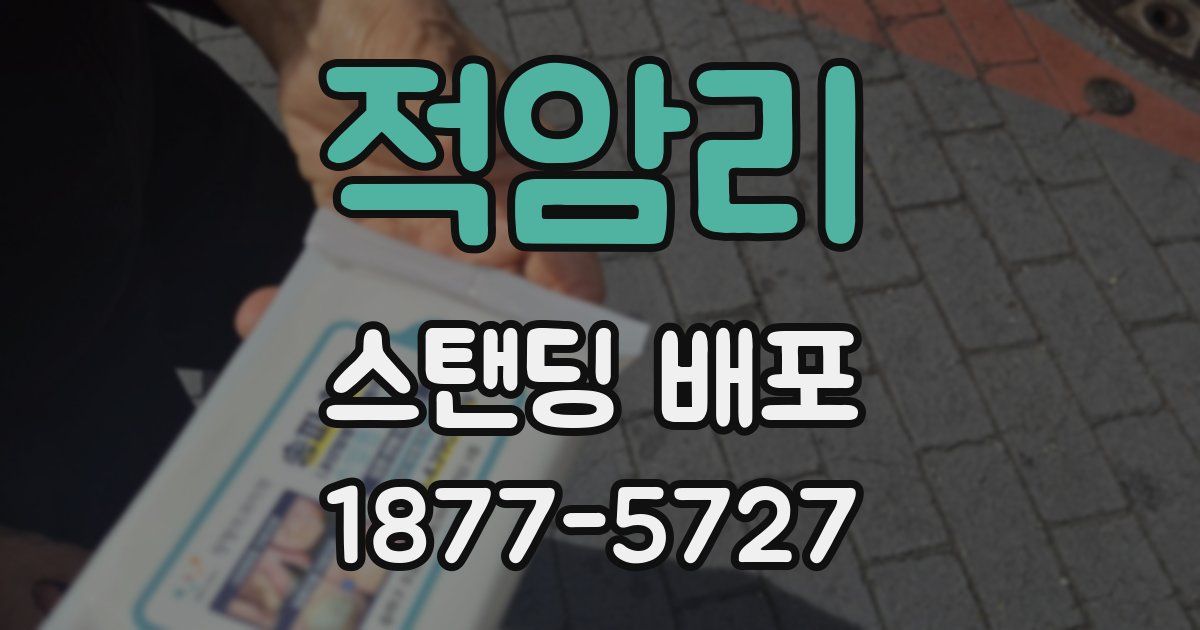 적암리 스탠딩 배포