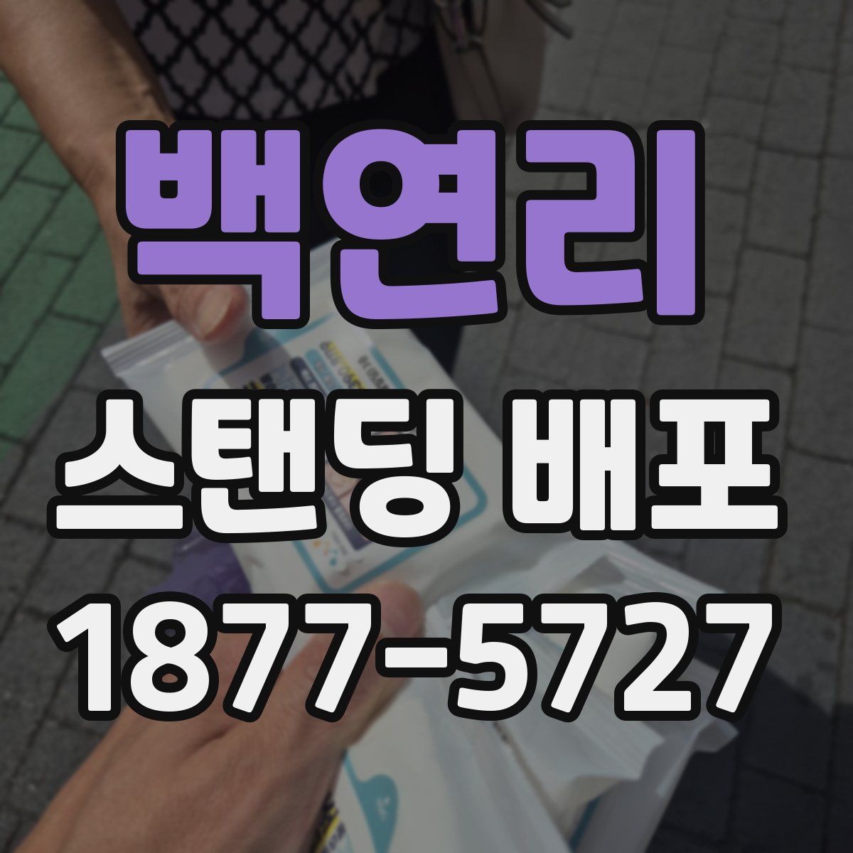 백연리 스탠딩 배포