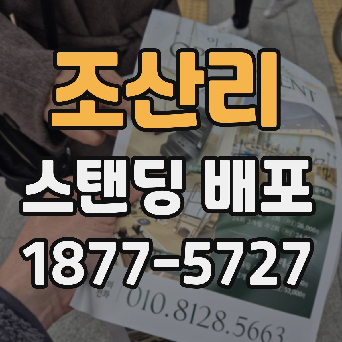 조산리 스탠딩 배포