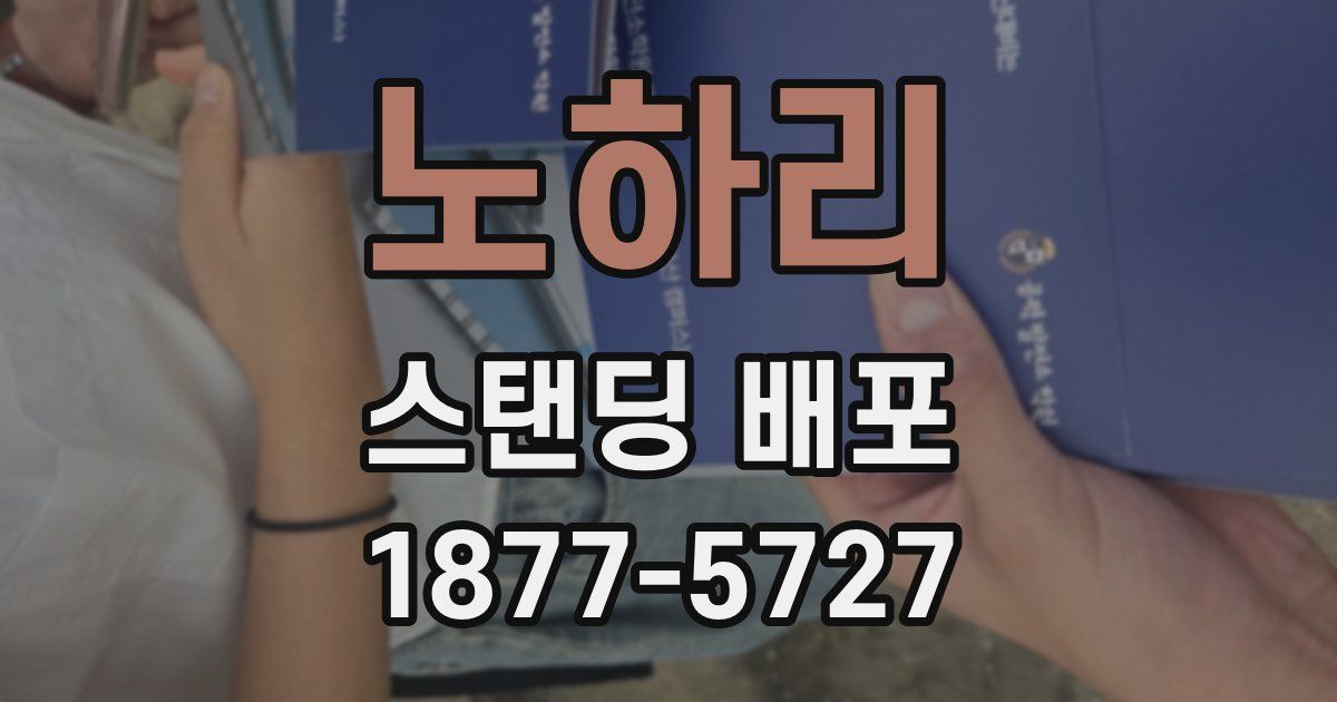 노하리 스탠딩 배포