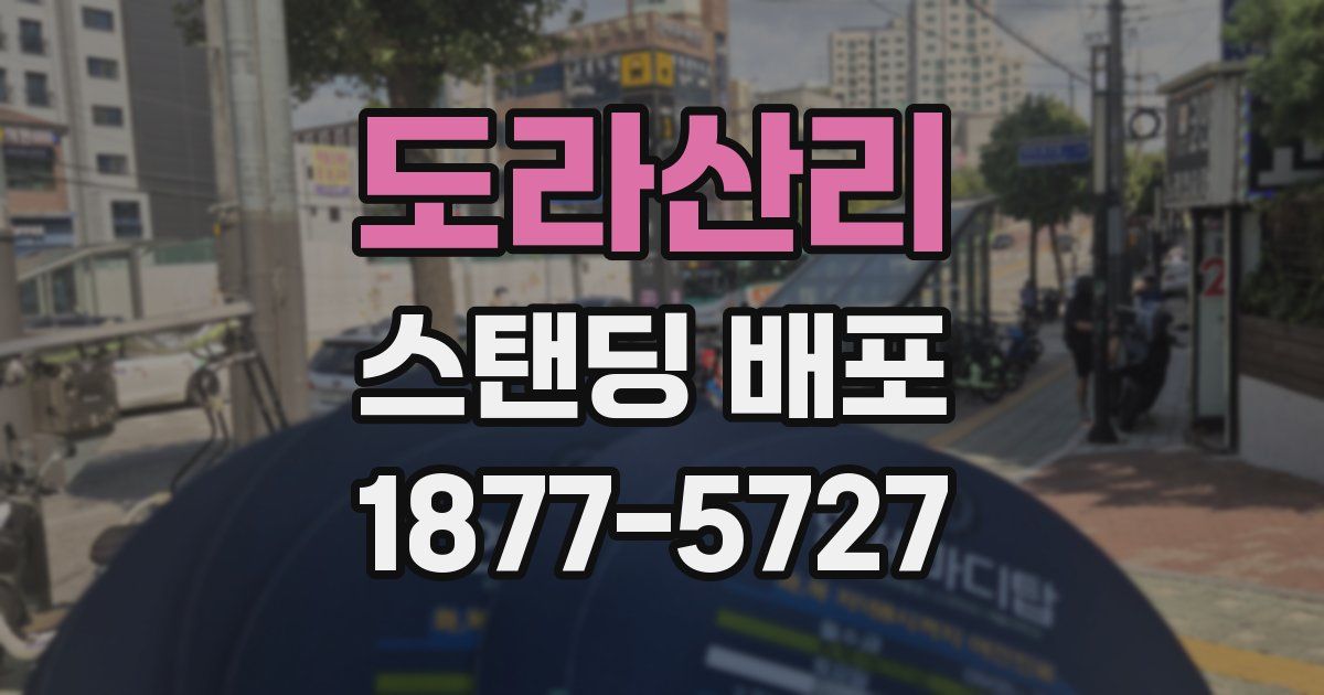 도라산리 스탠딩 배포