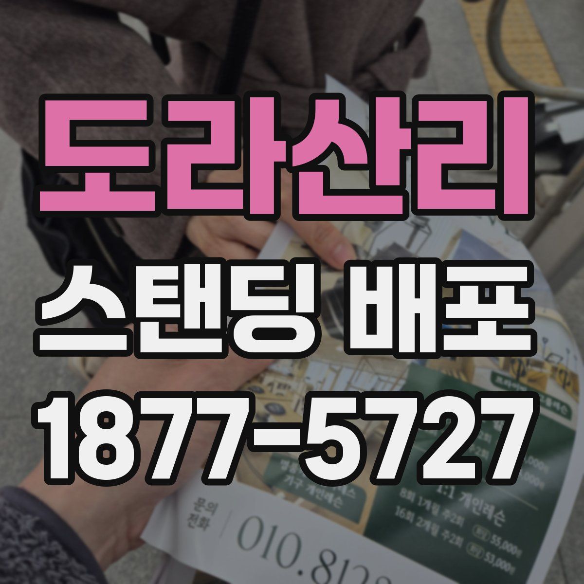 도라산리 스탠딩 배포