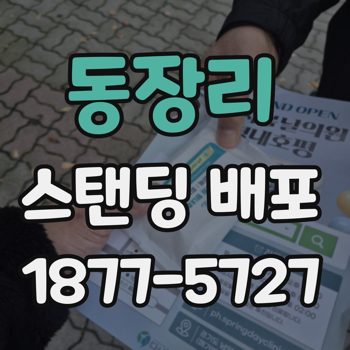 동장리 스탠딩 배포