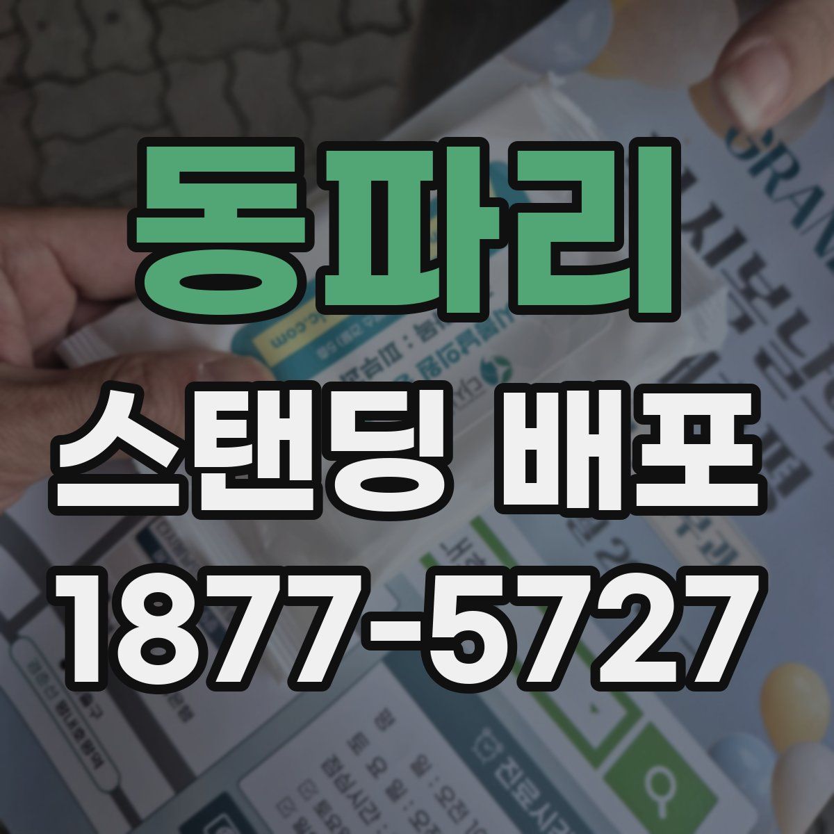 동파리 스탠딩 배포