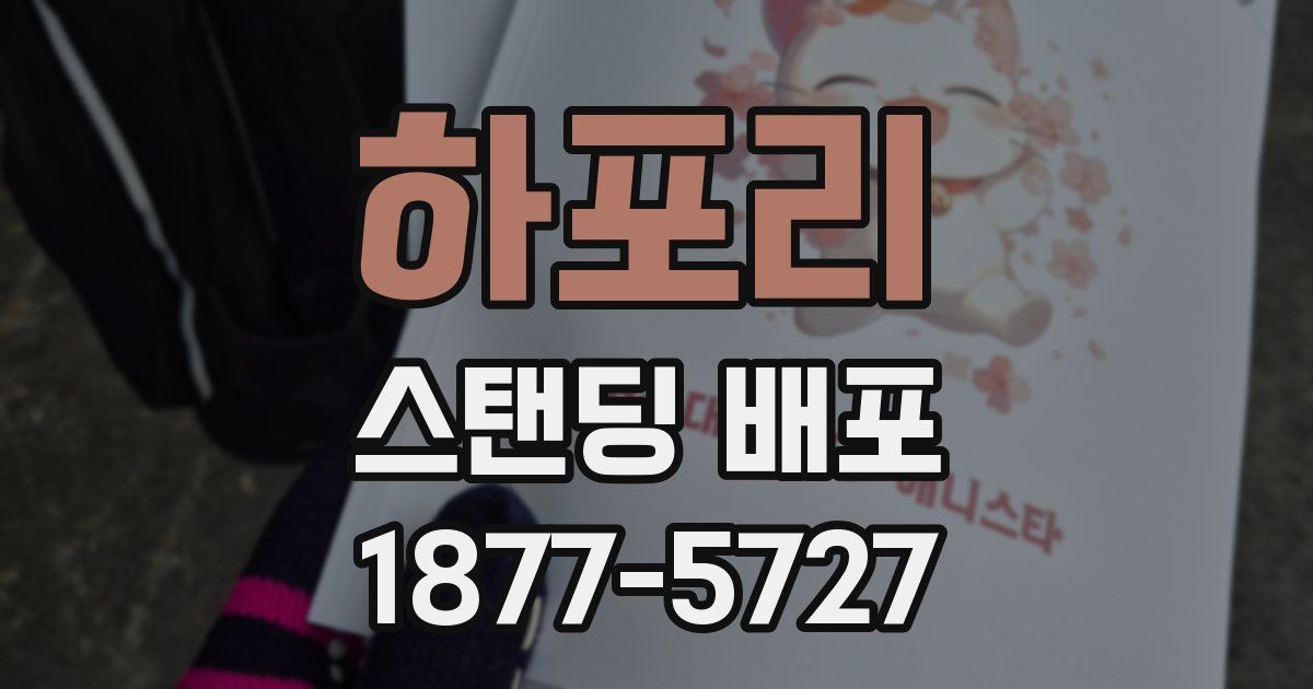 하포리 스탠딩 배포