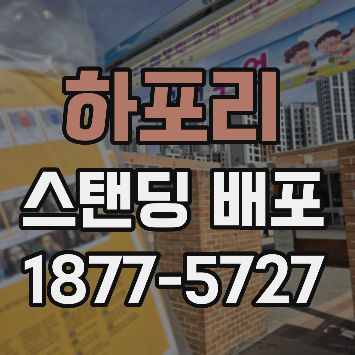 하포리 스탠딩 배포