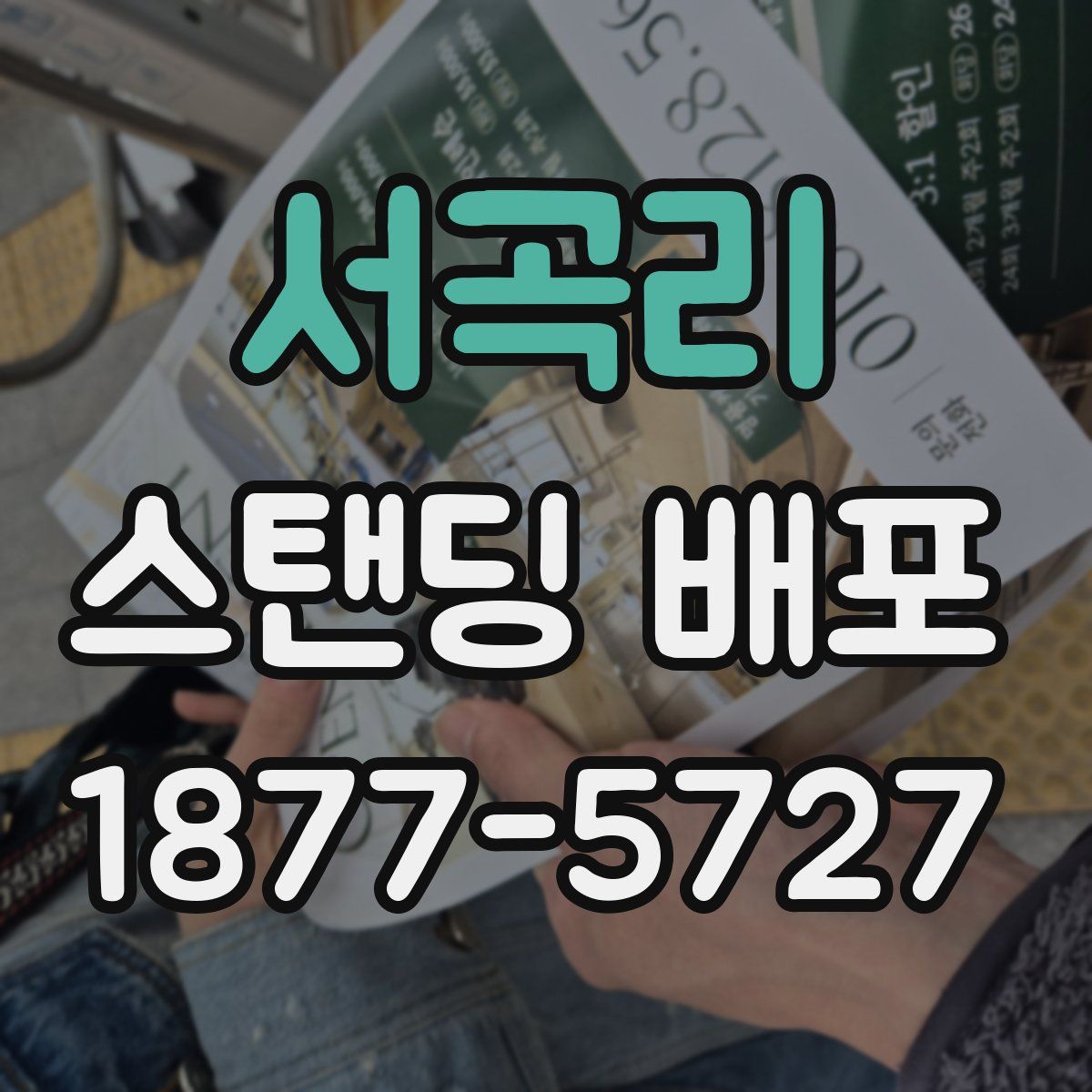 서곡리 스탠딩 배포