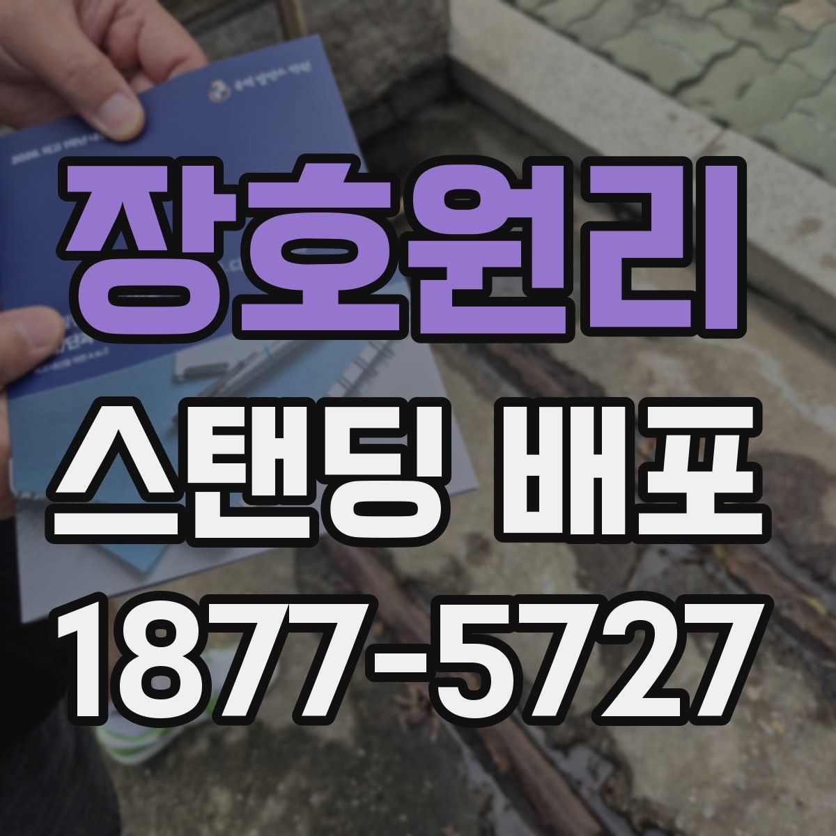 장호원리 스탠딩 배포