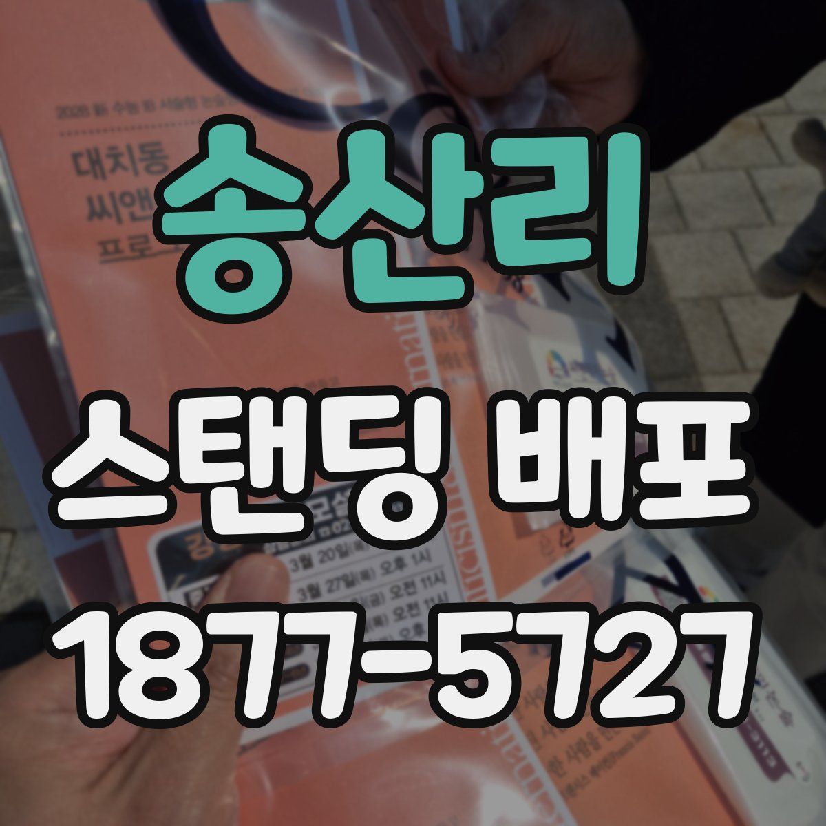 송산리 스탠딩 배포