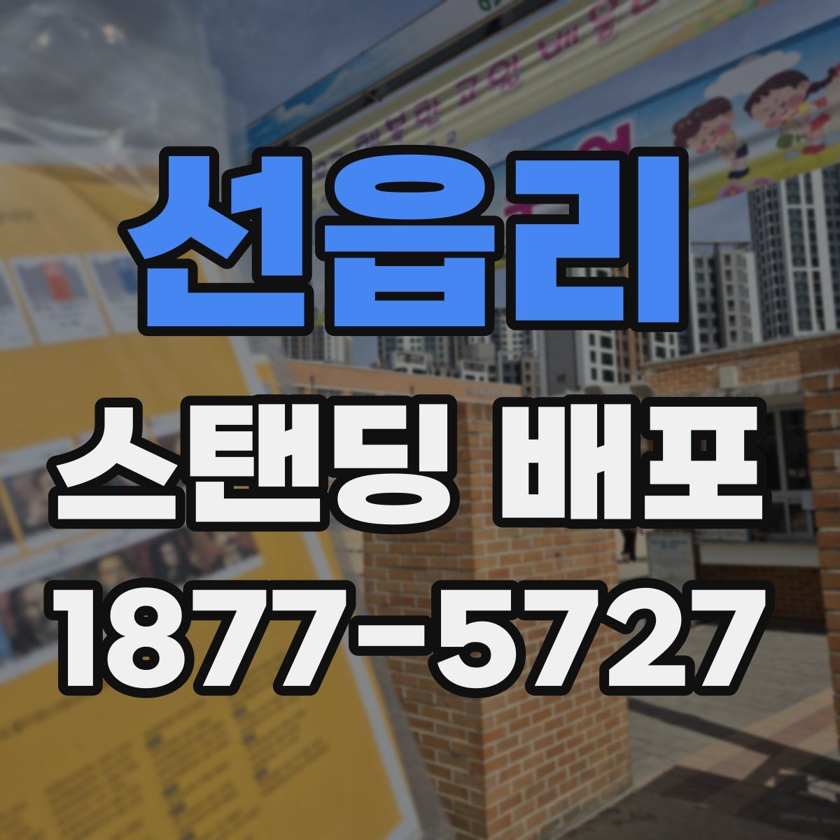 선읍리 스탠딩 배포