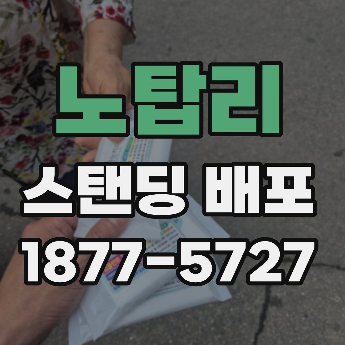 노탑리 스탠딩 배포