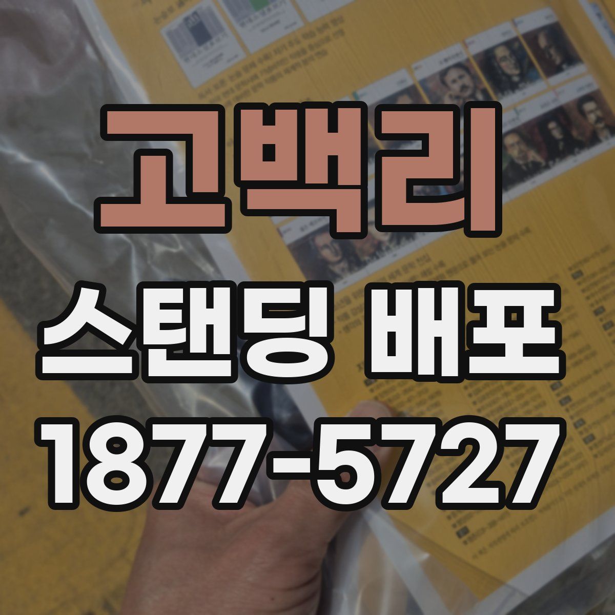 고백리 스탠딩 배포