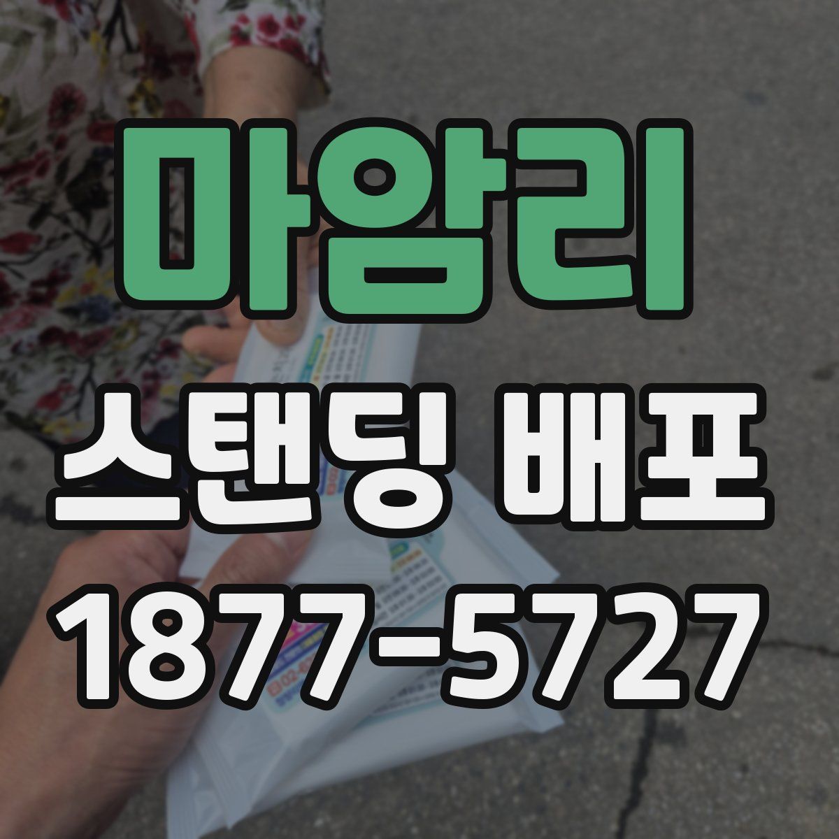 마암리 스탠딩 배포