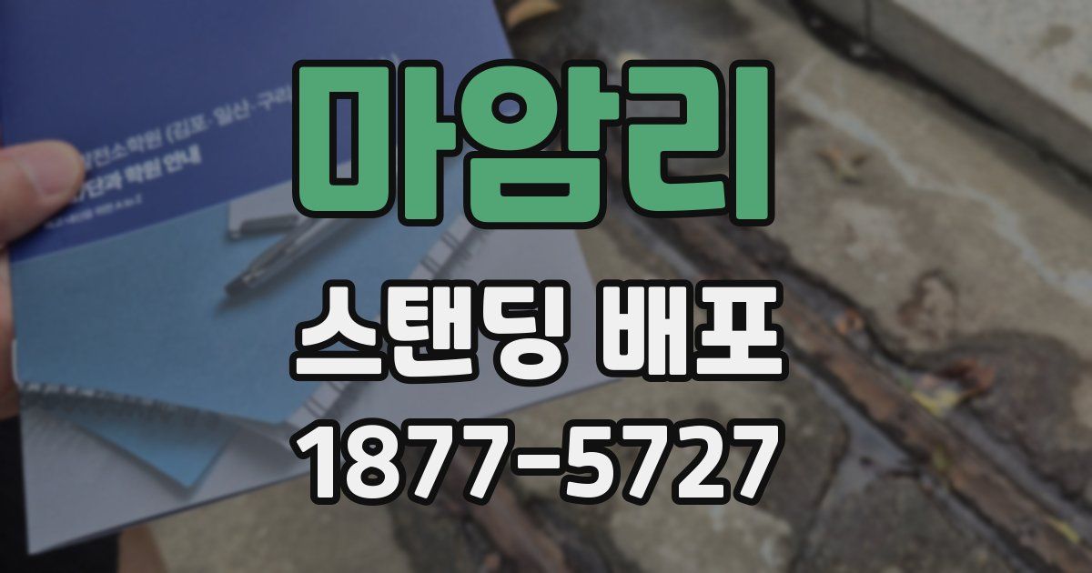 마암리 스탠딩 배포