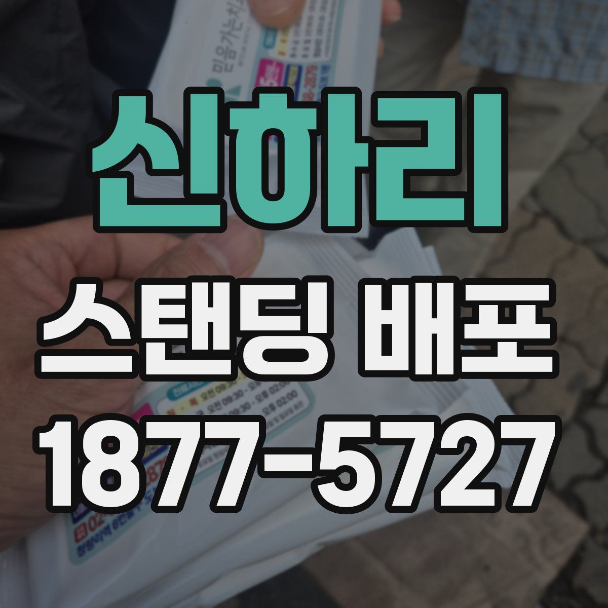 신하리 스탠딩 배포