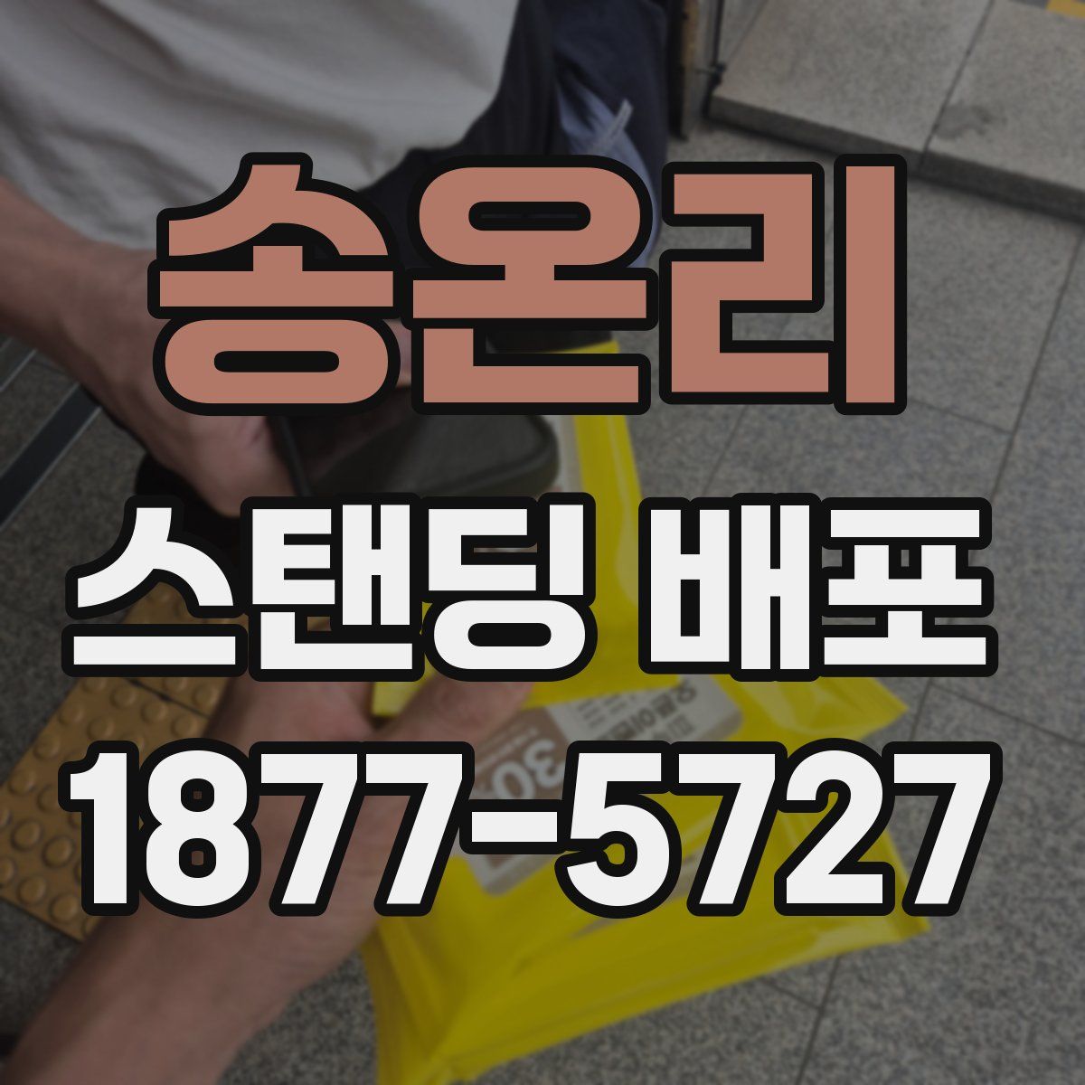 송온리 스탠딩 배포