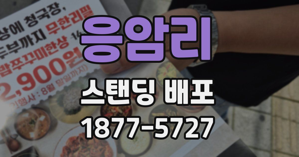 응암리 스탠딩 배포