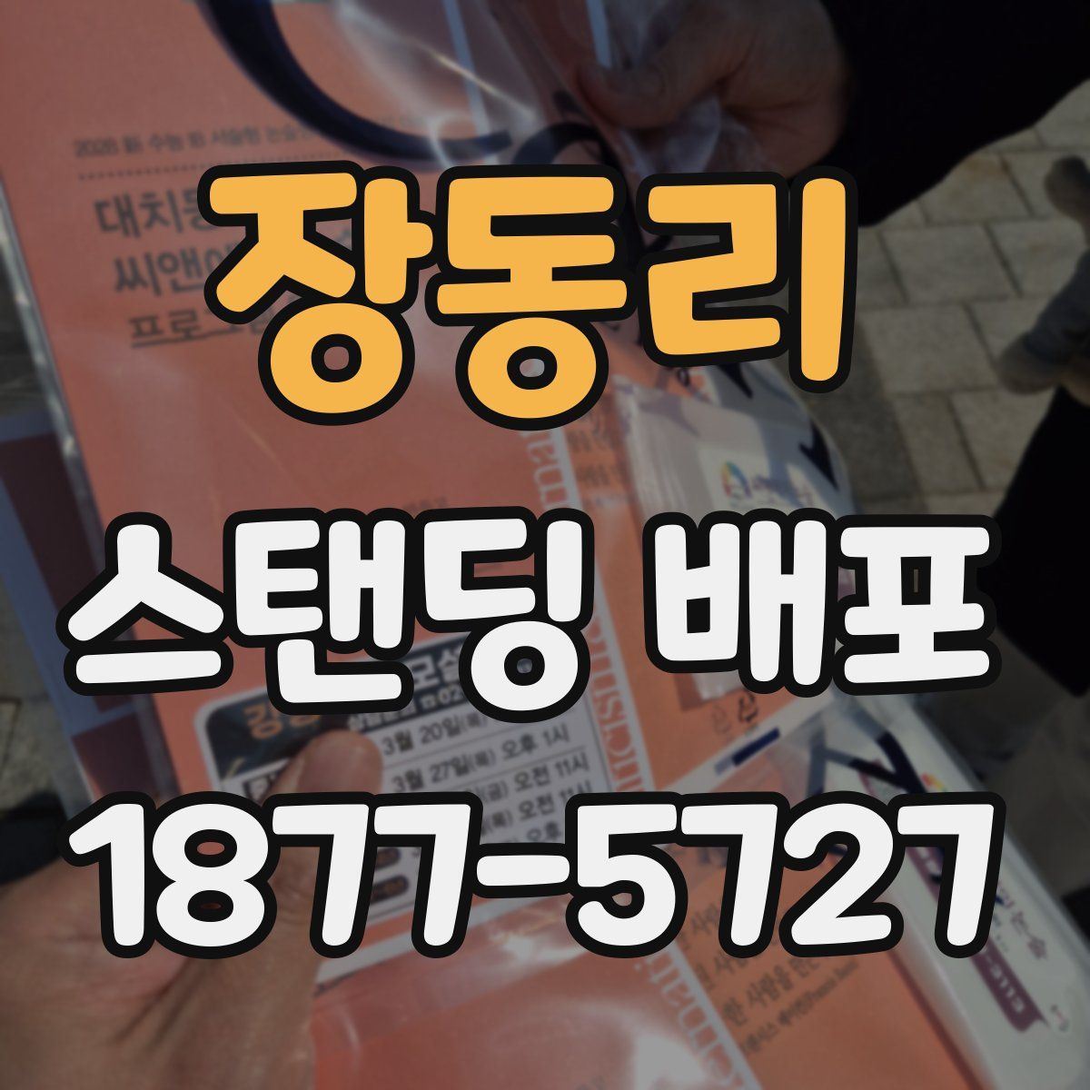 장동리 스탠딩 배포